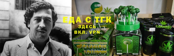 гидра Вязники
