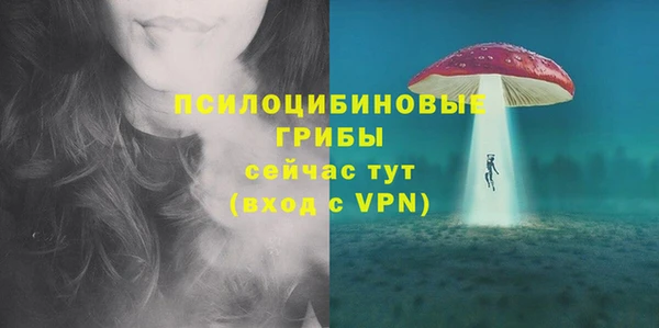 гидра Вязники