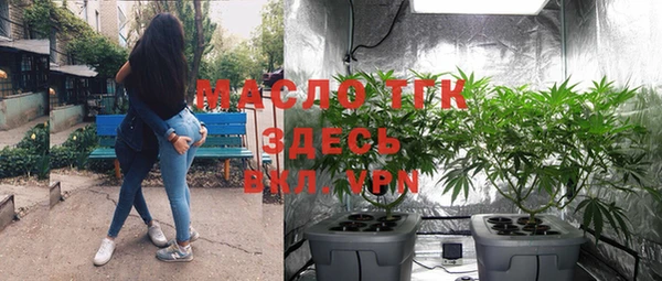 гидра Вязники