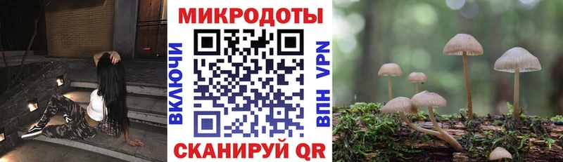 Купить где Катав-Ивановск Псилоцибиновые грибы ЛСД